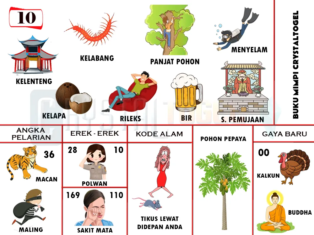 buku mimpi erek erek togel 10