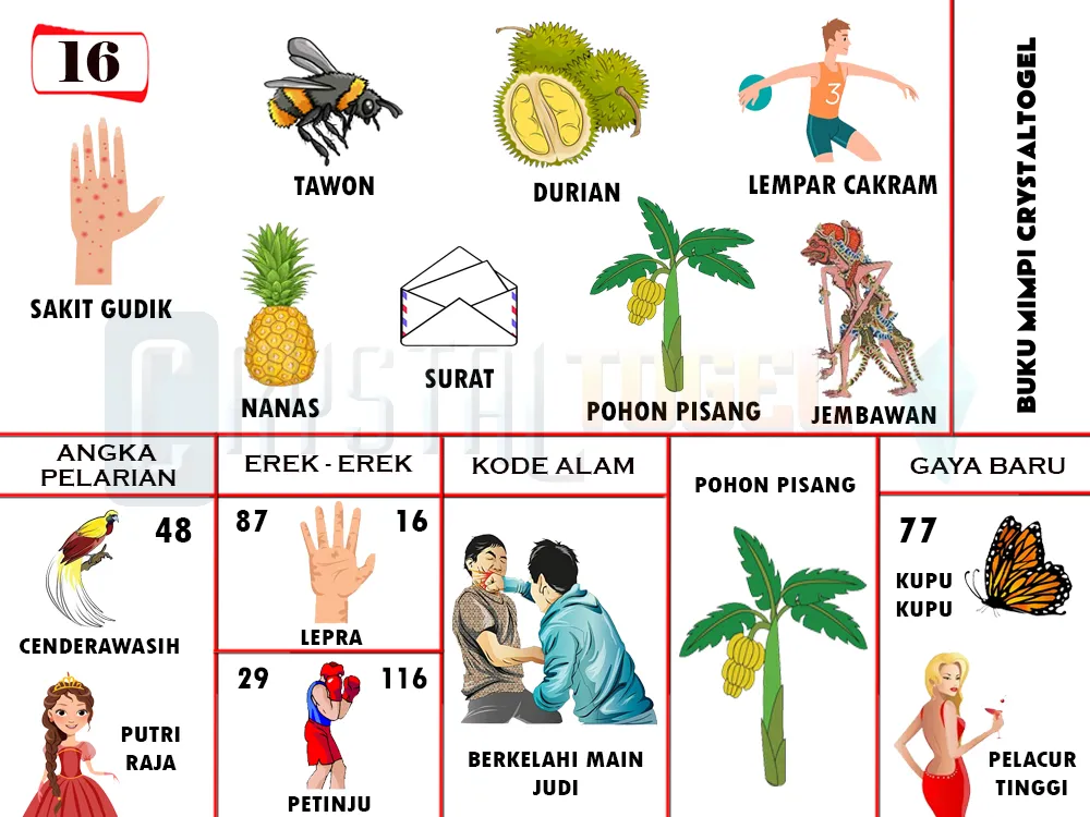buku mimpi erek erek togel 16