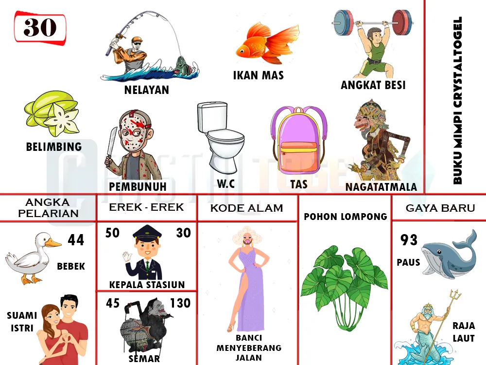 buku mimpi erek erek togel 30