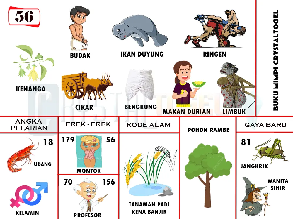 buku mimpi erek erek togel 56