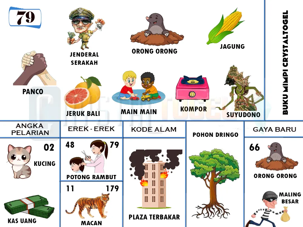 buku mimpi erek erek togel 79